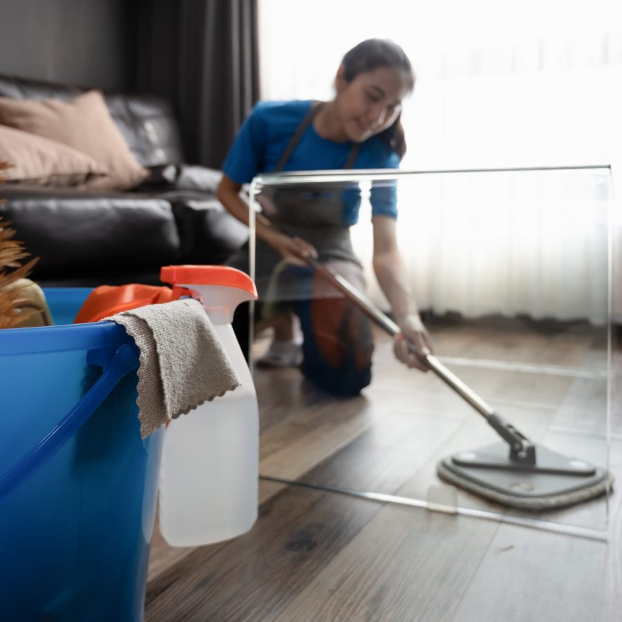 young-woman-in-an-apron-wiping-laminate-flooring-i-2024-11-27-16-50-25-utc-scaled